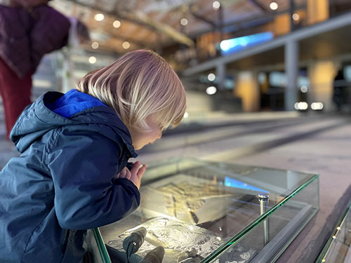 Ausflug mit Kindern in den Dinopark im Urweltmuseum