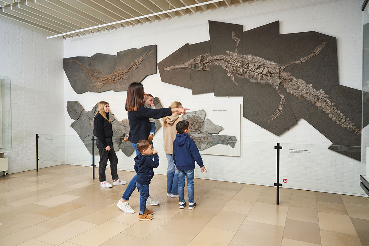 Ausflugsziel Baden-Württemberg Dinopark im Urweltmuseum