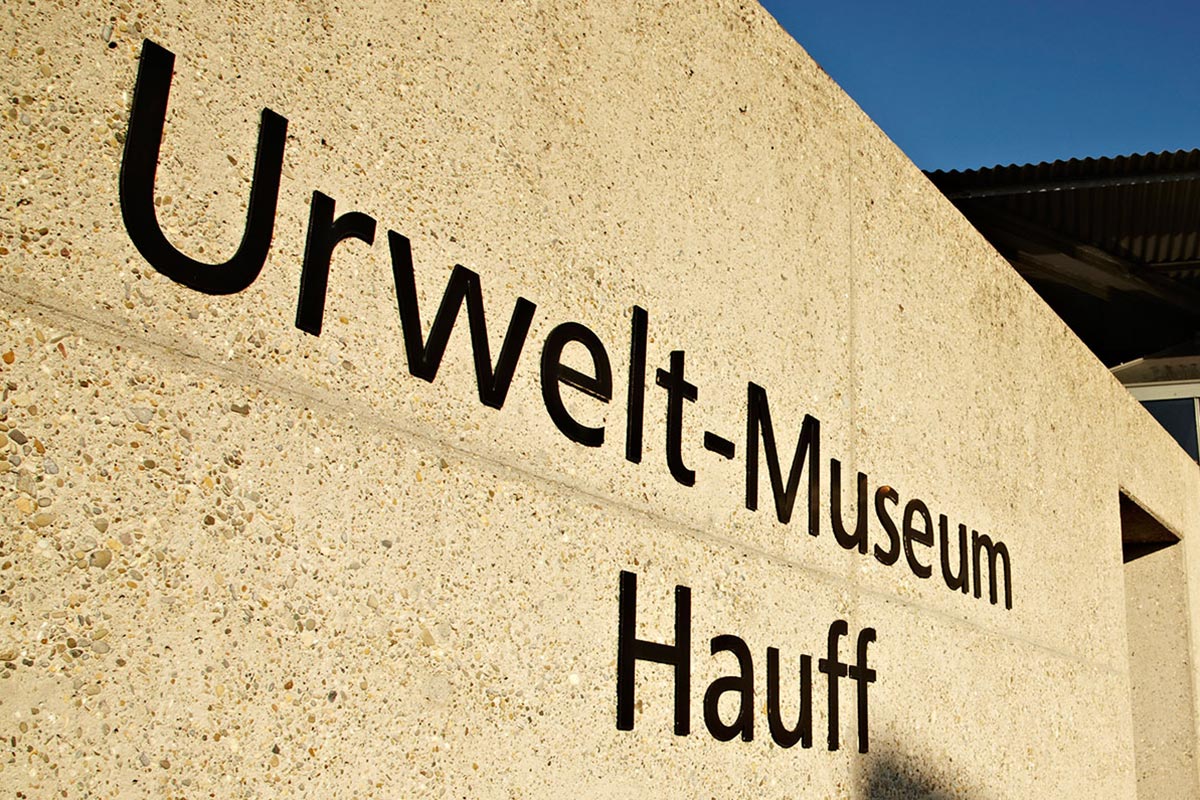 Eingang Urwelt-Museum Hauff